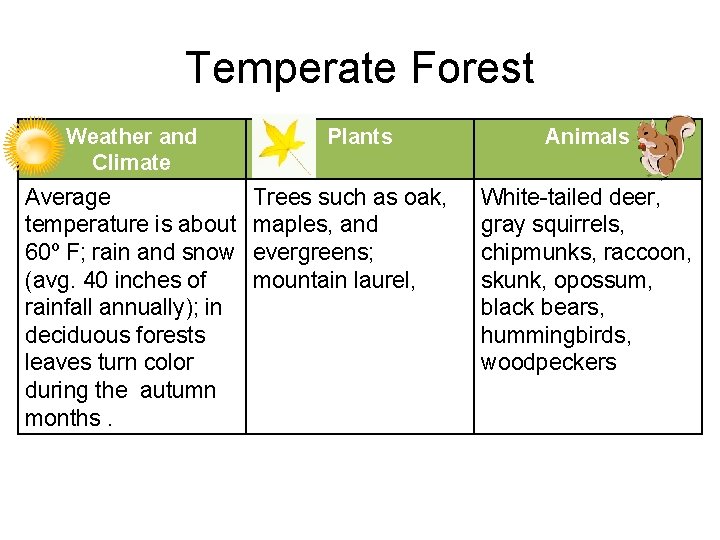 Temperate Forest Weather and Climate Average temperature is about 60º F; rain and snow