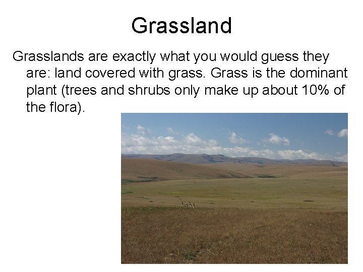 Grasslands are exactly what you would guess they are: land covered with grass. Grass