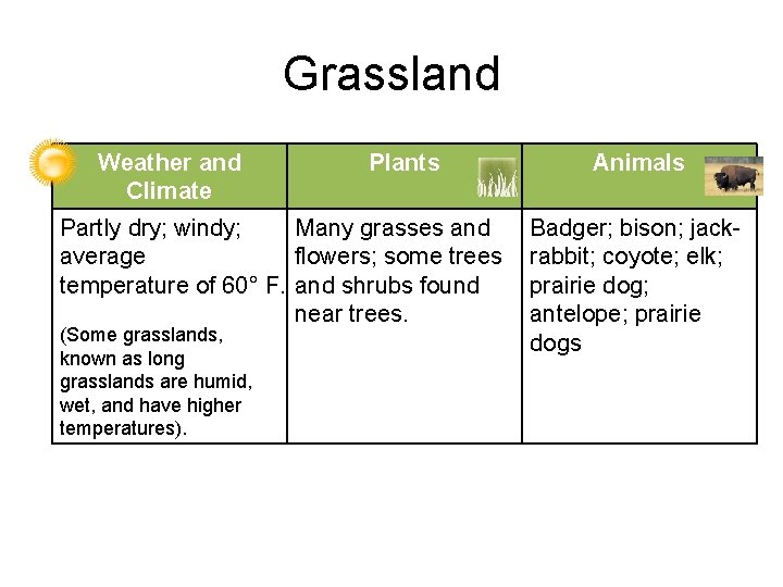 Grassland Weather and Climate Plants Partly dry; windy; Many grasses and average flowers; some