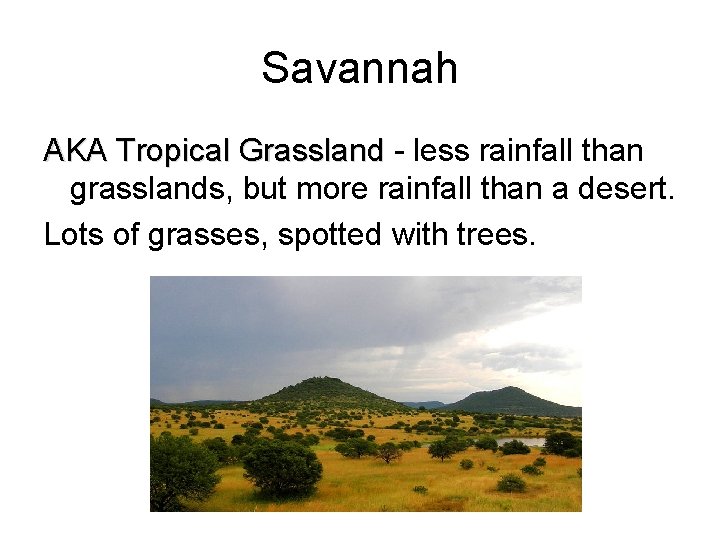 Savannah AKA Tropical Grassland - less rainfall than grasslands, but more rainfall than a