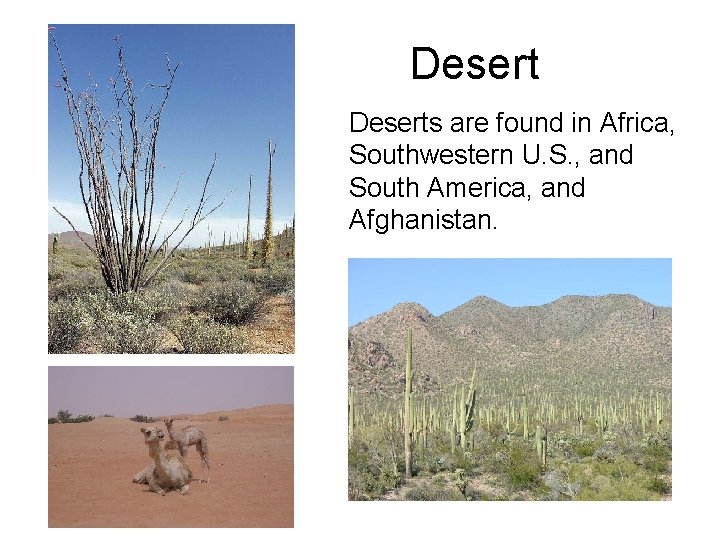 Deserts are found in Africa, Southwestern U. S. , and South America, and Afghanistan.