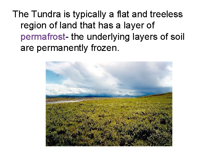 The Tundra is typically a flat and treeless region of land that has a