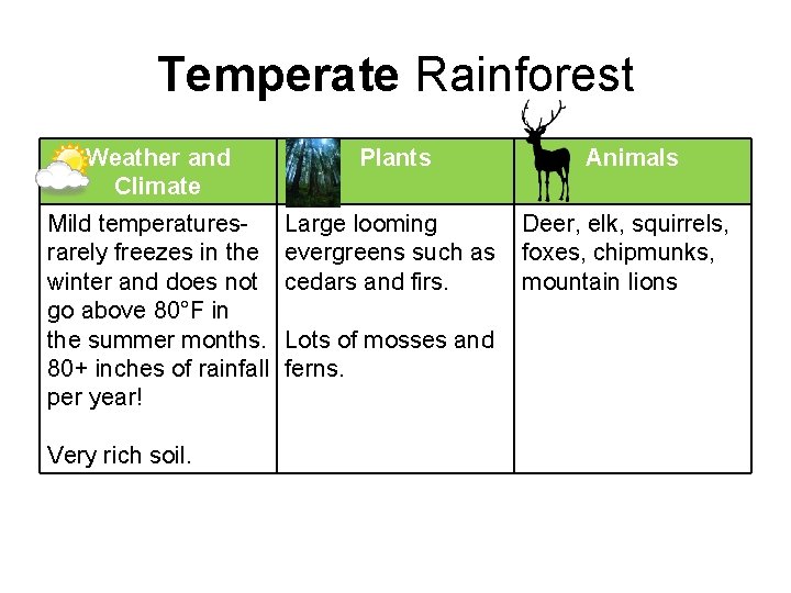 Temperate Rainforest Weather and Climate Plants Animals Mild temperaturesrarely freezes in the winter and
