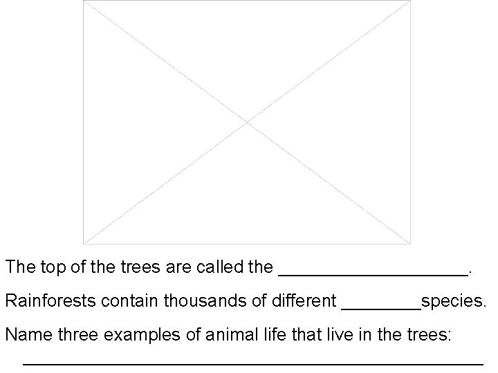 The top of the trees are called the __________. Rainforests contain thousands of different