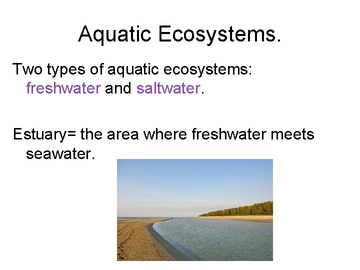 Aquatic Ecosystems. Two types of aquatic ecosystems: freshwater and saltwater. Estuary= the area where