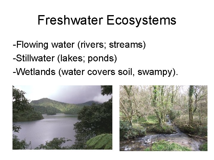 Freshwater Ecosystems -Flowing water (rivers; streams) -Stillwater (lakes; ponds) -Wetlands (water covers soil, swampy).