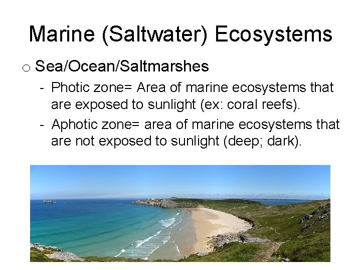 Marine (Saltwater) Ecosystems o Sea/Ocean/Saltmarshes - Photic zone= Area of marine ecosystems that are