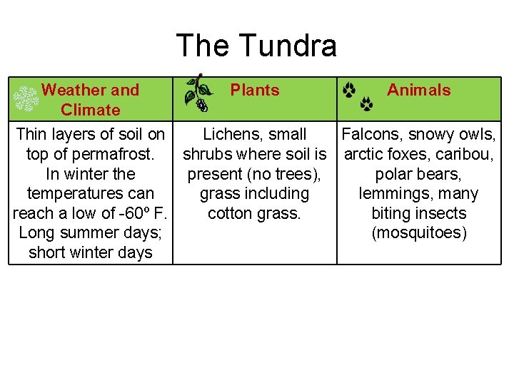 The Tundra Weather and Climate Plants Animals Thin layers of soil on Lichens, small