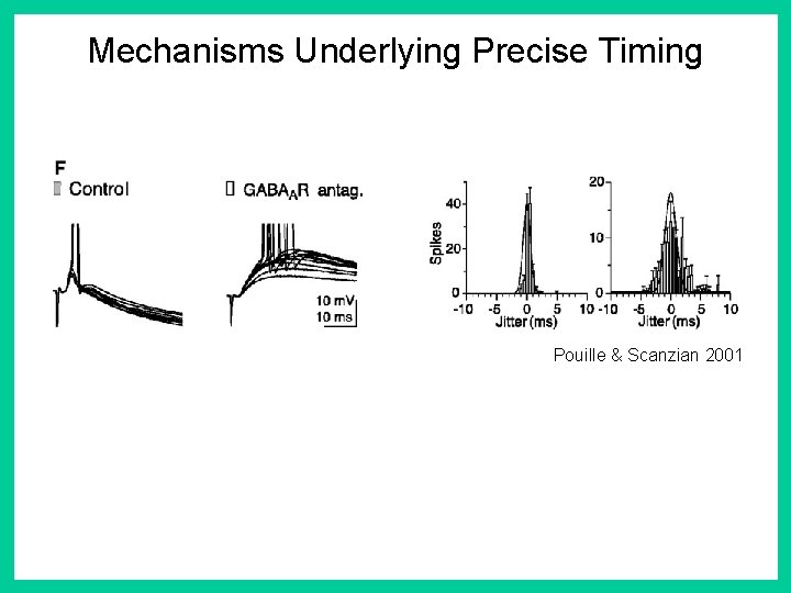 Mechanisms Underlying Precise Timing Pouille & Scanzian 2001 