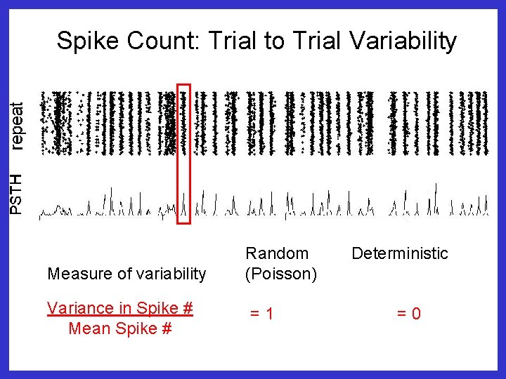 Spike Count: Trial to Trial Variability Measure of variability Variance in Spike # Mean