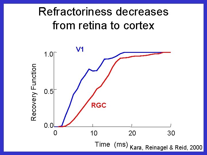 Refractoriness decreases from retina to cortex Recovery Function 1. 0 V 1 0. 5