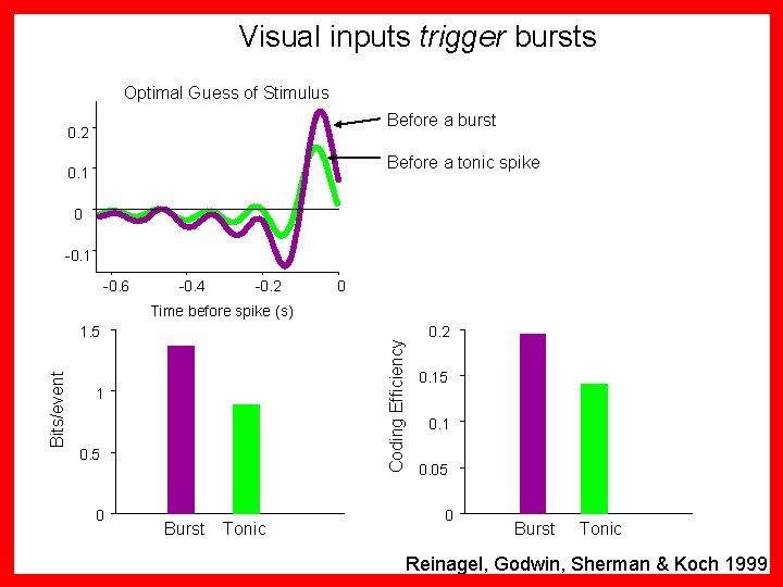 Visual inputs trigger bursts Optimal Guess of Stimulus Before a burst 0. 2 Before