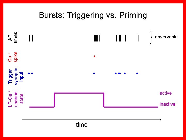 AP times Bursts: Triggering vs. Priming * • • • • active LT-Ca++ channel