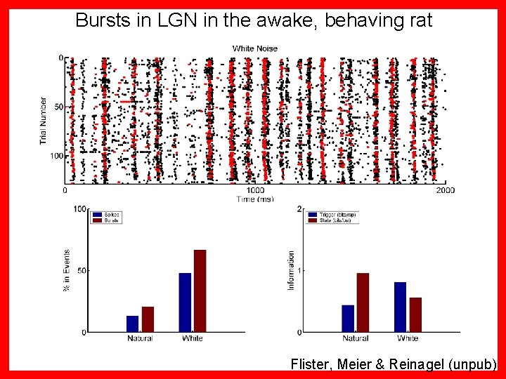 Bursts in LGN in the awake, behaving rat Flister, Meier & Reinagel (unpub) 