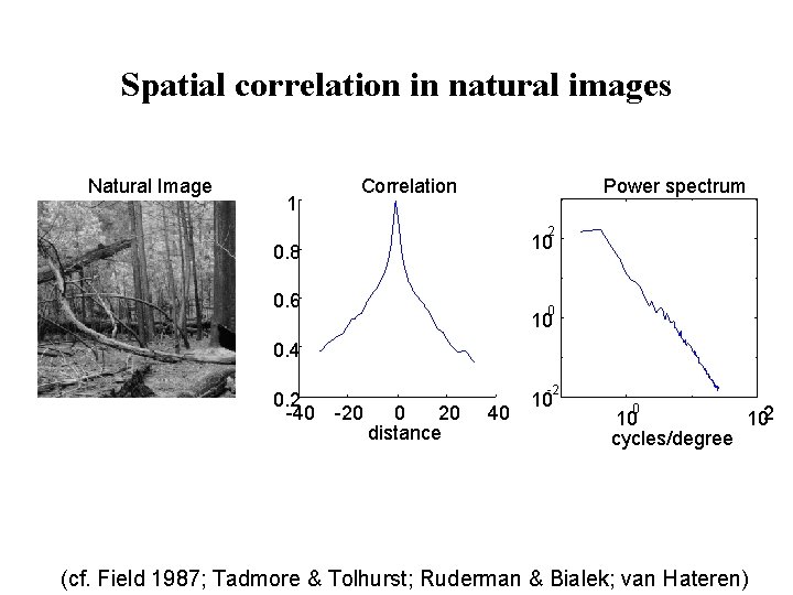 Spatial correlation in natural images Natural Image 1 Correlation Power spectrum 2 10 0.