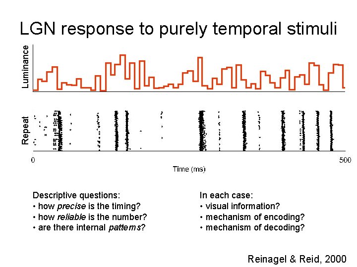 Repeat Luminance LGN response to purely temporal stimuli Descriptive questions: • how precise is