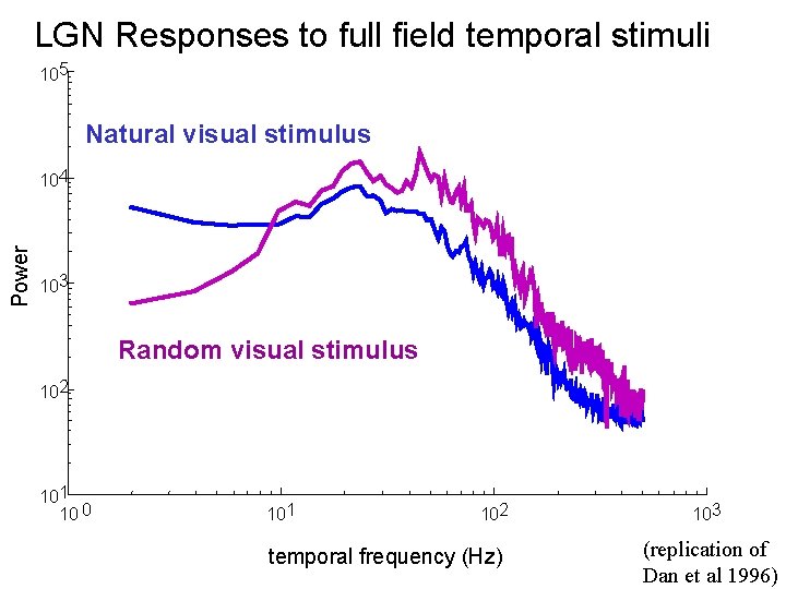 LGN Responses to full field temporal stimuli 105 Natural visual stimulus Power 104 103