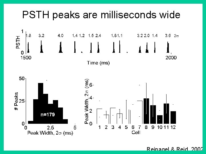 PSTH peaks are milliseconds wide Reinagel & Reid, 2002 