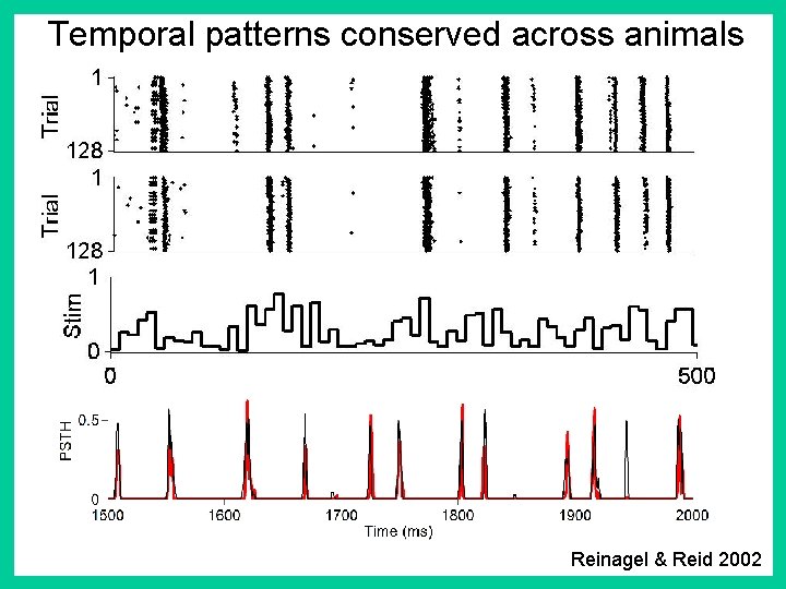 Temporal patterns conserved across animals Reinagel & Reid 2002 