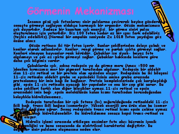 Görmenin Mekanizması İnsanın gözü ışık fotonlarını sinir pulslarına çevirerek beyine gönderen ve sonuçta görmeyi