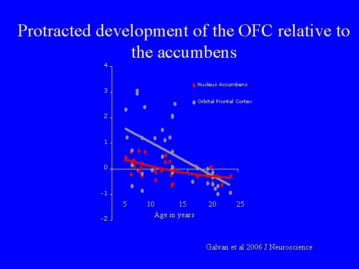 Protracted development of the OFC relative to the accumbens Normalized Extent of Activity 4