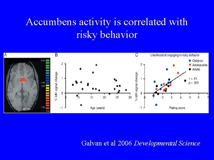Accumbens activity is correlated with risky behavior Galvan et al 2006 Developmental Science 