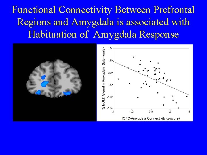 Functional Connectivity Between Prefrontal Regions and Amygdala is associated with Habituation of Amygdala Response