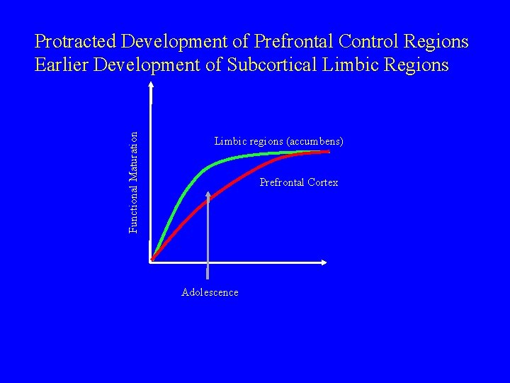 Functional Maturation Protracted Development of Prefrontal Control Regions Earlier Development of Subcortical Limbic Regions