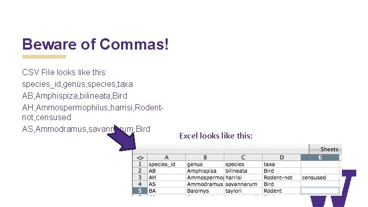 Beware of Commas! CSV File looks like this: species_id, genus, species, taxa AB, Amphispiza,