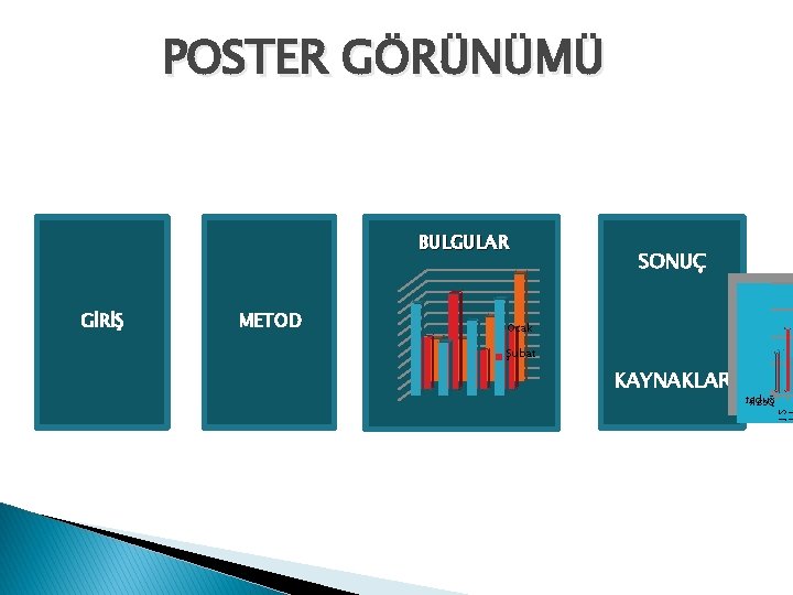 POSTER GÖRÜNÜMÜ BULGULAR GİRİŞ METOD SONUÇ Ocak Şubat KAYNAKLAR 11 21 takb Ş au