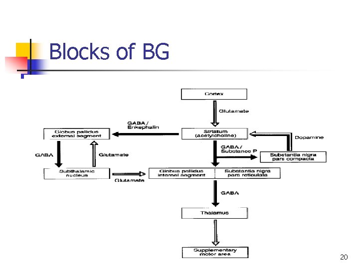 Blocks of BG 20 