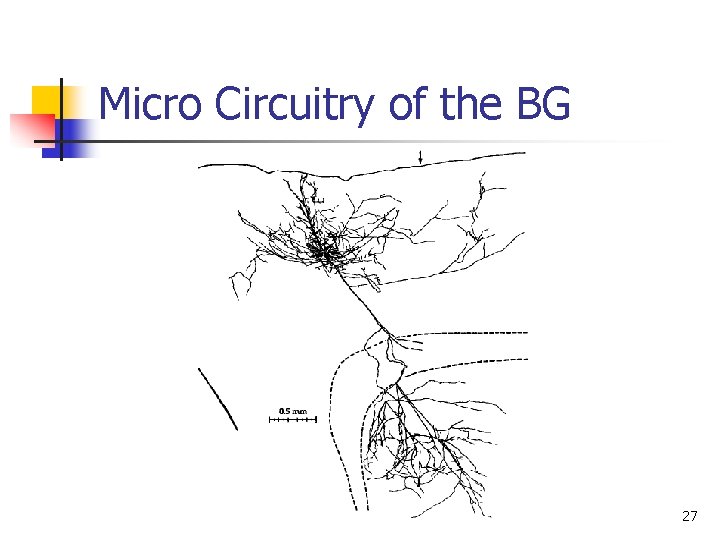 Micro Circuitry of the BG 27 