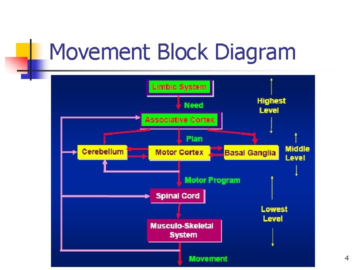 Movement Block Diagram 4 