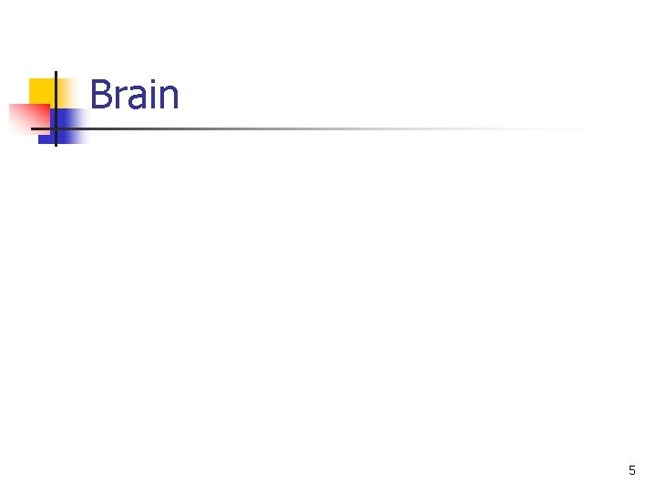 Brain 5 