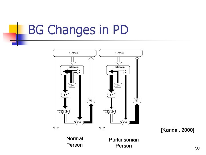 BG Changes in PD [Kandel, 2000] Normal Person Parkinsonian Person 58 