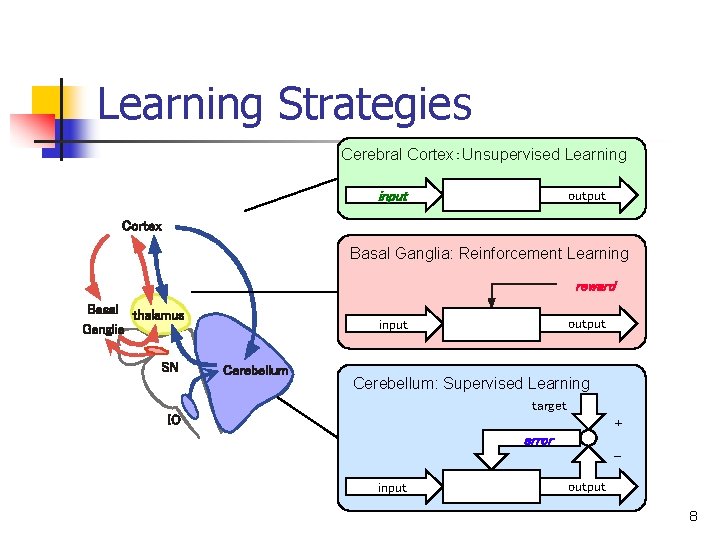 Learning Strategies Cerebral Cortex：Unsupervised Learning output input Cortex Basal Ganglia: Reinforcement Learning reward Basal