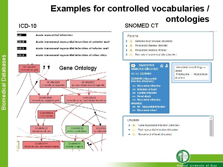 Biomedical Databases ICD-10 Examples for controlled vocabularies / ontologies SNOMED CT Gene Ontology 
