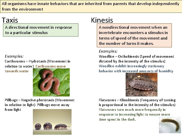 All organisms have innate behaviors that are inherited from parents that develop independently from