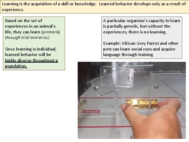 Learning is the acquisition of a skill or knowledge. Learned behavior develops only as