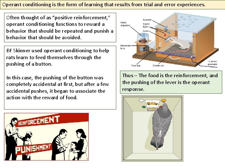Operant conditioning is the form of learning that results from trial and error experiences.