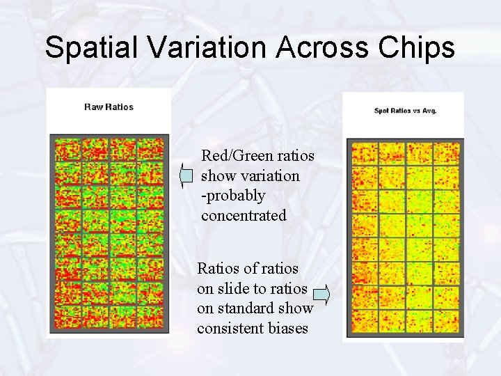 Spatial Variation Across Chips Red/Green ratios show variation -probably concentrated Ratios of ratios on