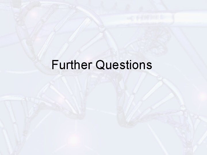 Further Questions 