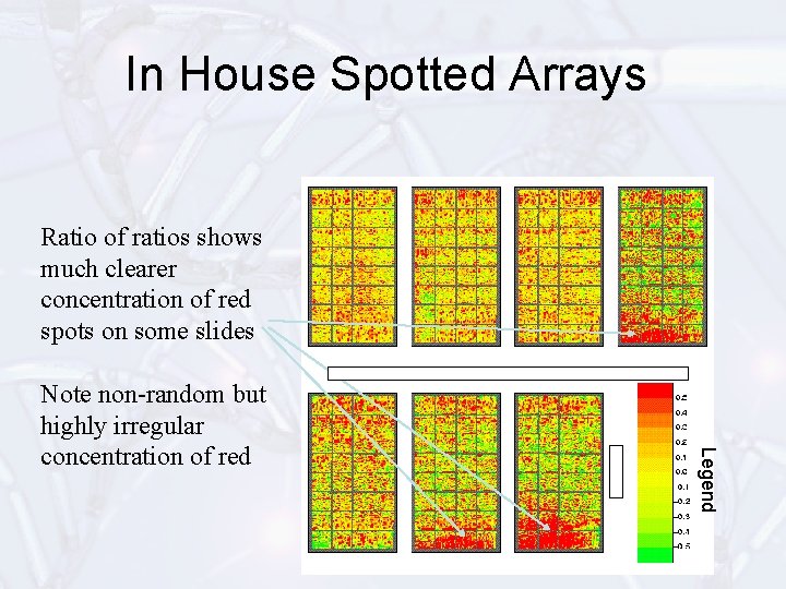 In House Spotted Arrays Ratio of ratios shows much clearer concentration of red spots