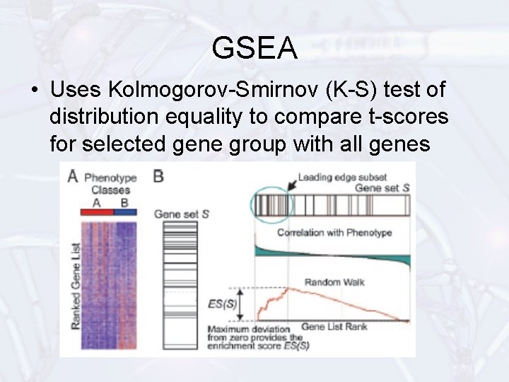 GSEA • Uses Kolmogorov-Smirnov (K-S) test of distribution equality to compare t-scores for selected