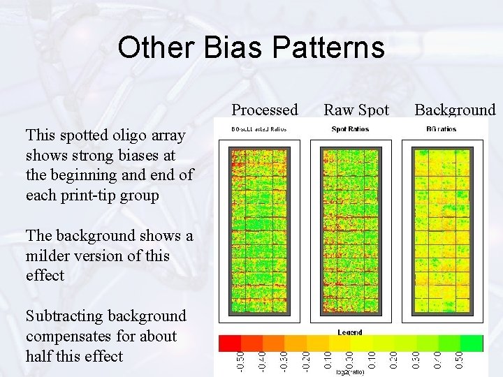 Other Bias Patterns Processed This spotted oligo array shows strong biases at the beginning