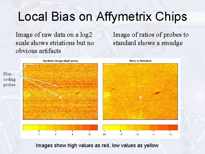 Local Bias on Affymetrix Chips Image of raw data on a log 2 scale