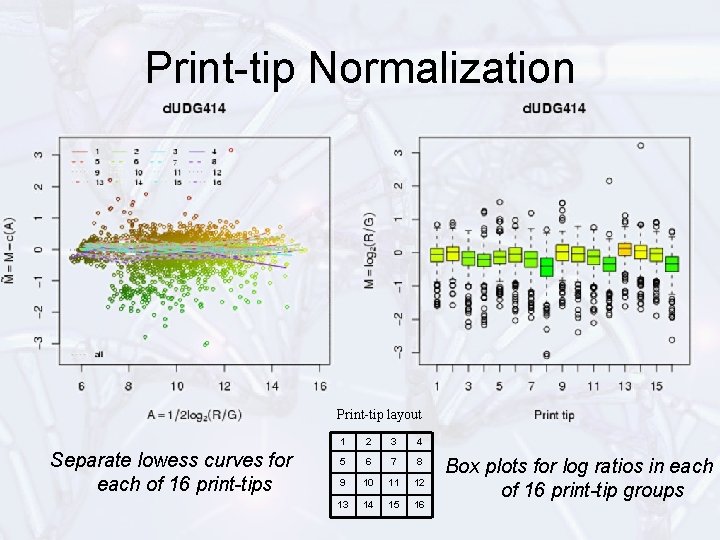 Print-tip Normalization Print-tip layout Separate lowess curves for each of 16 print-tips 1 2