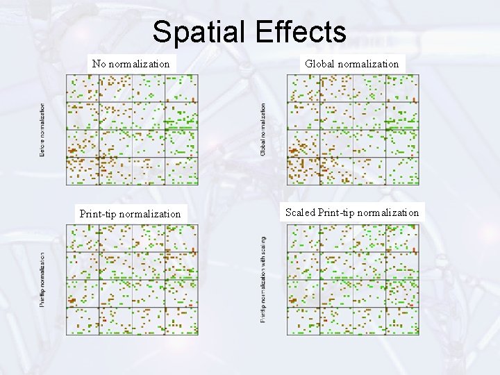 Spatial Effects No normalization Global normalization Print-tip normalization Scaled Print-tip normalization 