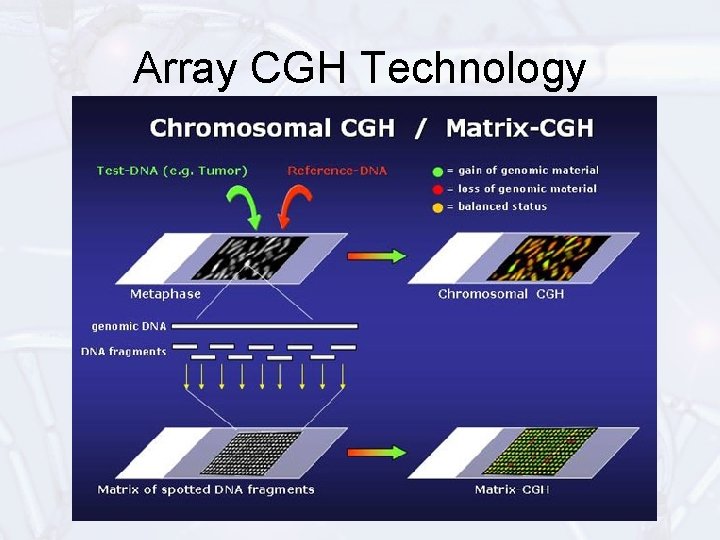 Array CGH Technology 
