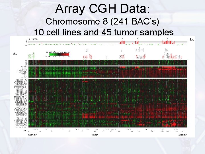 Array CGH Data: Chromosome 8 (241 BAC’s) 10 cell lines and 45 tumor samples
